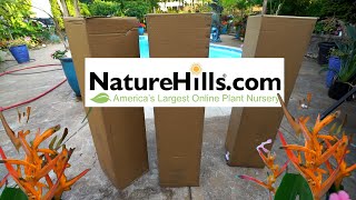 Unboxing Tropical Houseplants From Nature Hills