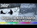 Видео: снежная лавина накрывает людей. Страшные кадры сняли туристы в США