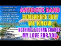 Somewhere only we know  antidote band best favorite songs playlist 2024  best cover songs 2024