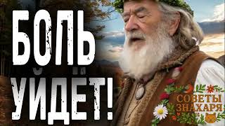 Положите Это средство на живот, вздутие уйдет! Простое средство для тех кому 60