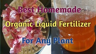 How to make & Use Onion peel Organic Fertilizer/Onion Peel Organic Liquid Fertilizer/Onion peel uses