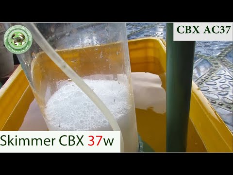 Video Skimmer DIY AC37 | Skimmer CBX37 | Skimmer Chế tạo |... - youtube