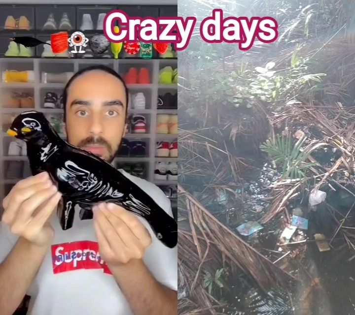 Crazy days