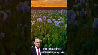 13 Ağustos 2024 Resimi