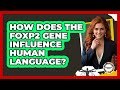 How Does The FOXP2 Gene Influence Human Language? - Anthropology Insights