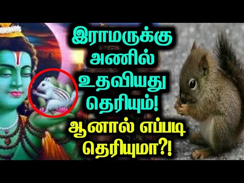 இராமருக்கு அணில் உதவியது தெரியும்! ஆனால் அது எப்படி உதவியதுனு தெரியுமா?