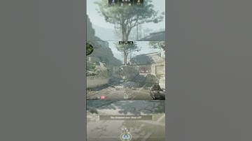 What you see is what you get  #cs2 #gaming #cs2clips  #counterstrike #competitive #pcgaming #shorts