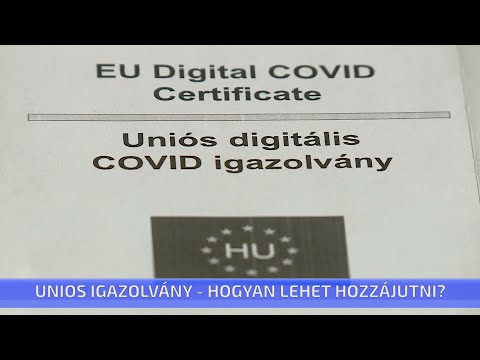 Videó: Súlyos Fenyegetés Veszi Körül A Királynőt, Ha Nincs Egyezség Harryvel