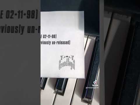 Rare Beastieboys Bodymovin Flyer 