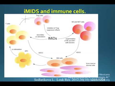 Vídeo: Inmunoterapia En Cáncer De Pulmón De Células Pequeñas: De Promesas Moleculares A Desafíos Clínicos