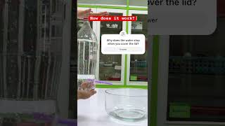 Water Trick - How does it work? #science #experiment #shortsviral #scienceexperiment #how