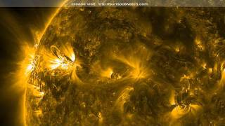 Three Large Sunspot Regions, End of July 2011