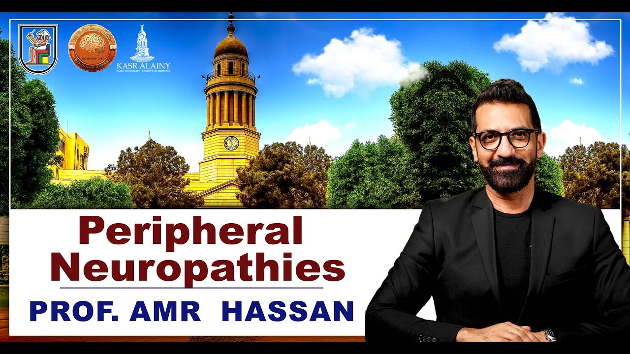 Peripheral Neuropathies-أ.د. عمرو حسن الحسني أستاذ المخ و الأعصاب