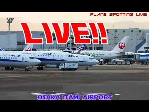 悪天候欠航！！天草エアライン・みぞか号 生中継！伊丹空港!!  Plane Spotting Itami Airport 01/11/2026