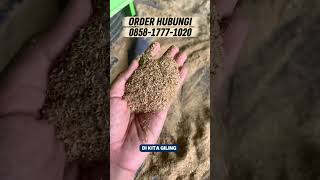 Jumlah hammermill 2 mesin giling sekam padi, jagung, kohe dll tipe sk3000&amp; Sg2000 #mesingiling#sekam