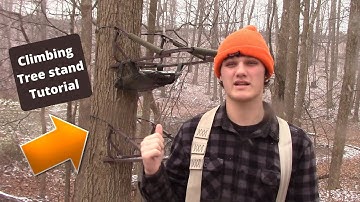 How to use a CLIMBING TREE STAND (Summit Viper STEEL)