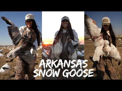 FIRST EVER WATERFOWL HUNT! ARKANSAS SNOW GOOSE