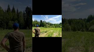 Посев 2, ссылка на полное видео уже в описании!👉🏻 #лес #охота #зсл #посев #кабан #медведь