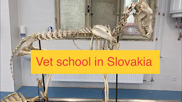 Kde uvádíme veterinární léčivé přípravky?