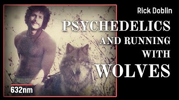 Inside the Battle for Psychedelic Therapy | Rick Doblin