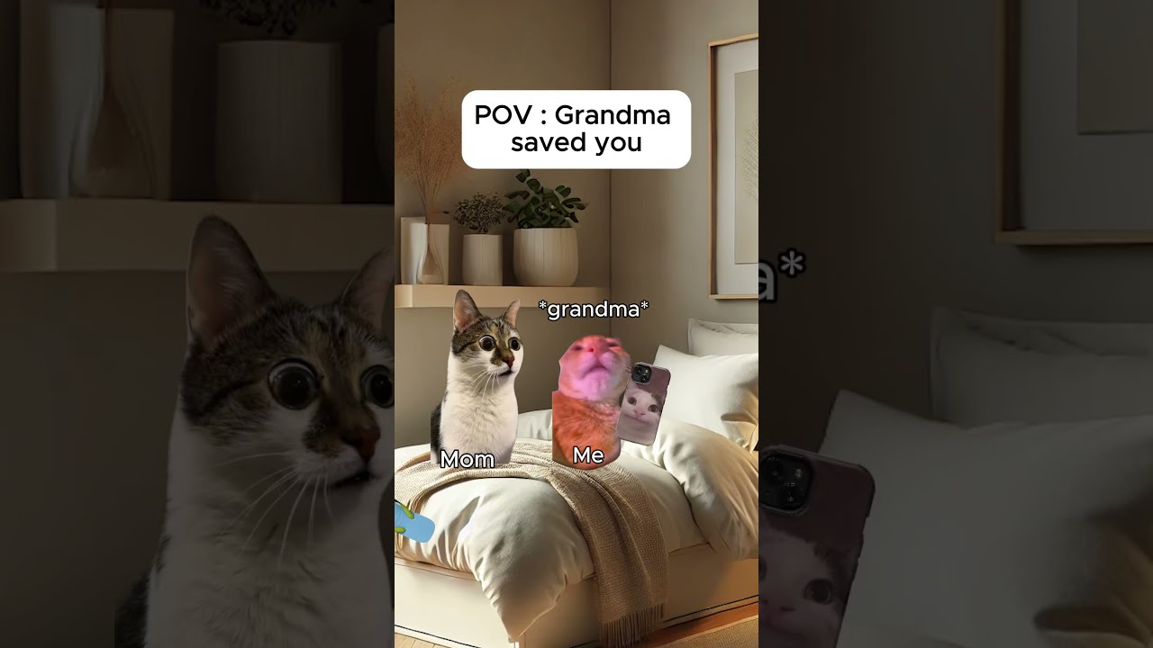 Cat Memes Grandma Saved You Catmemes Relatable Catshorts Shorts