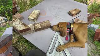Greatest fireplace build!