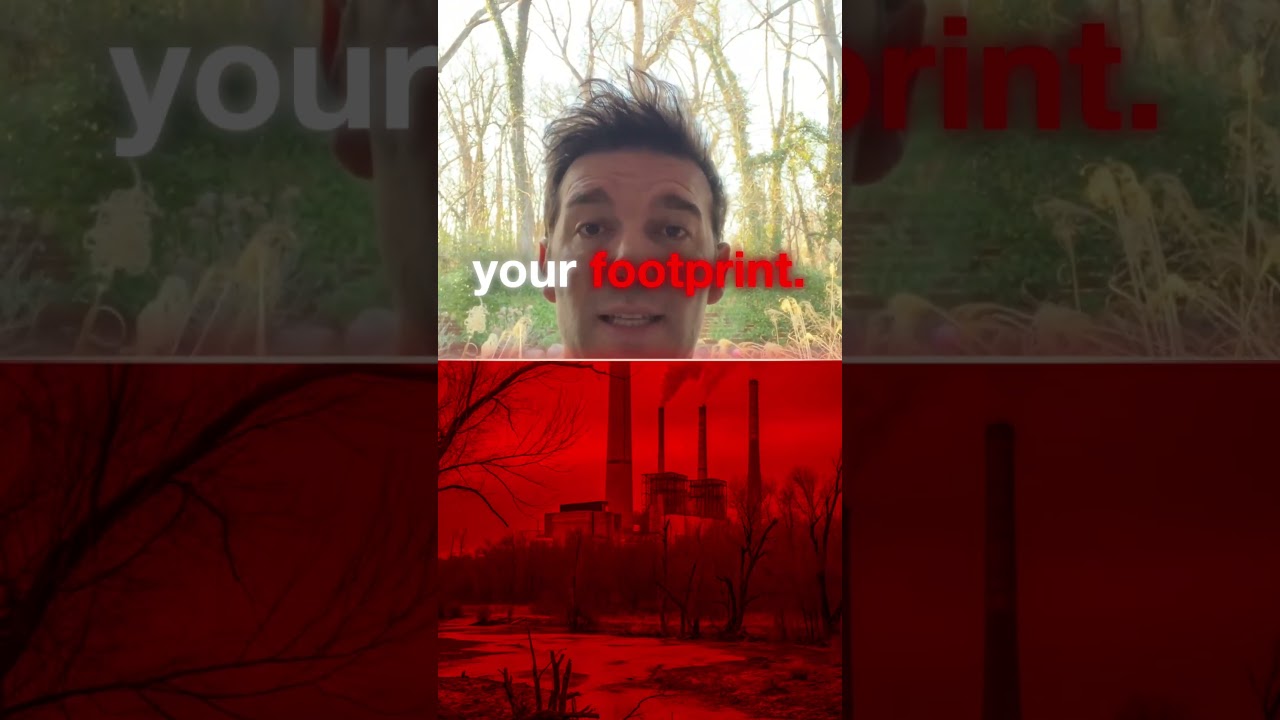 Planting Trees Won’t Fix Your Emissions