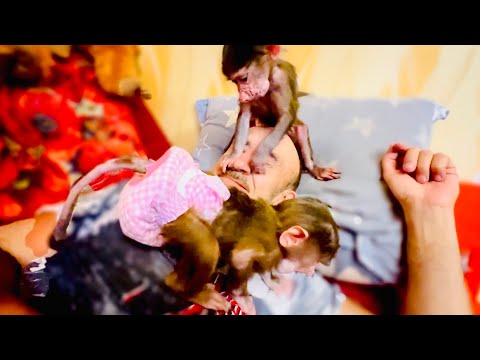 Степа становится ОЧЕНЬ ПОХОЖ на Люську, точно также работает СТОМАТОЛОГОМ И КОСМЕТОЛОГОМ у Воада)))