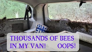 How to quickly remove thousands of bees from a vehicle.  I did it again again!