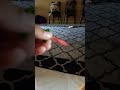 eating strawberry sword #chewy #satisfying #crunchynoises