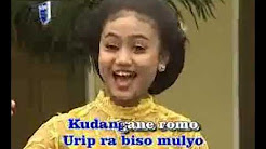 Video Mix - Sambel Kemangi - Dyah Probo Rini - Playlist Video Mix - Sambel Kemangi - Dyah Probo Rini - Playlist