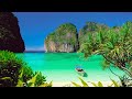 Throw stress away with relaxing piano music  beautiful nature  sleep music  stress relief music