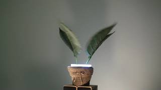 Soft Robotic Plant (Sound of silence) screenshot 4
