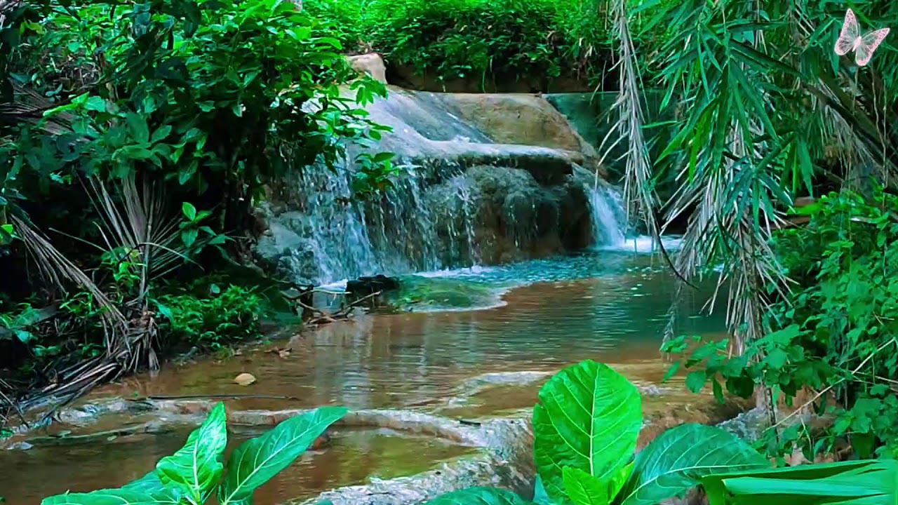 Relaxing Music For Stress Relief, Anxiety and Depressive States🌲 Heal Mind, Body and Soul Relax 19