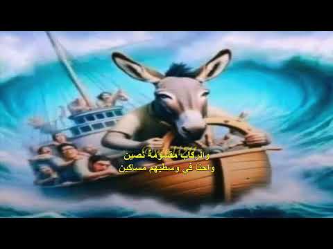 حمزة نمرة شيكايو