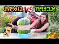 אתגר האבטיח והגומיות