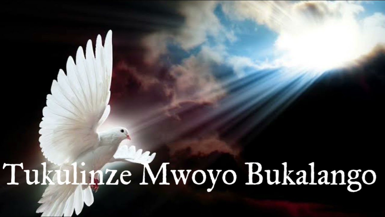 Tukulinze Mwoyo Bukalango