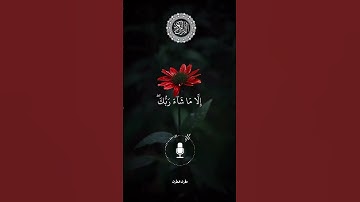 #تلاوات_مطرف_المطرف #ايات_قرانيه_قصيره #اكسبلور #راحة_نفسية #سورة  #السعودية #تلاوة_خاشعة