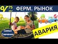 Авария! Телефон Самсунг, Фермерский рынок Влог 75 будни многодетной семьи Савченко