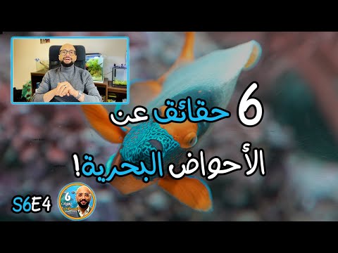 فيديو: ما هي فئة البيولوجيا البحرية؟