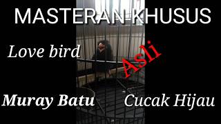 Video <span aria-label=