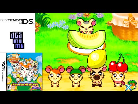 Hi! Hamtaro: Ham-Ham Challenge (2008) Nintendo DS Gameplay in HD (DeSmuME)