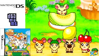 Hi! Hamtaro: HamHam Challenge (2008) Nintendo DS Gameplay in HD (DeSmuME)