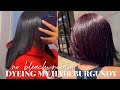 HOW TO: dyeing my hair from BLACK to BURGUNDY / no bleach needed / new haircut debut