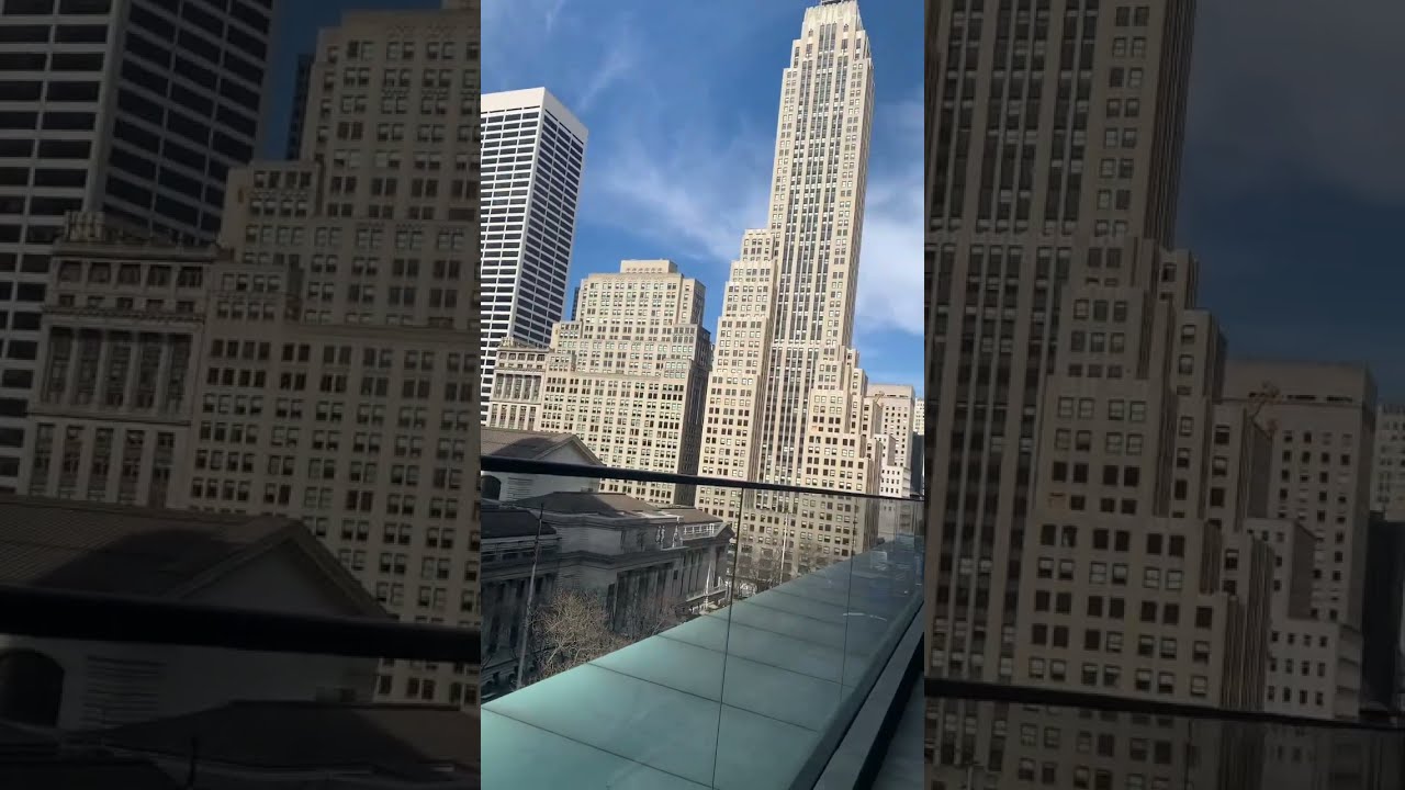 From New York Public Library View
