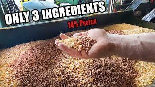 EASY PIG FEED MIX - Only 3 Ingredients 14% Protein