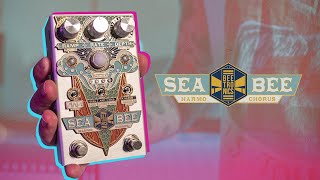 Seabee Harmochorus - The Hive Studios Session