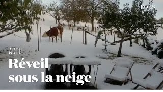Le Sud-Est de la France se réveille sous la neige