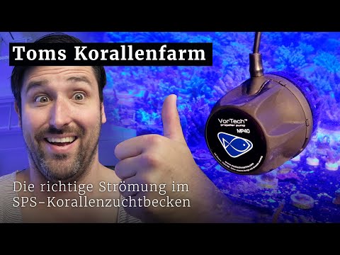 Endlich: Die richtige Strömung für die Korallenfarm - mit Ecotech Vortech MP40