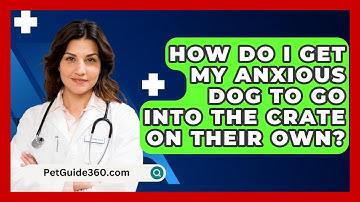 How Do I Get My Anxious Dog To Go Into The Crate On Their Own? - PetGuide360.com
